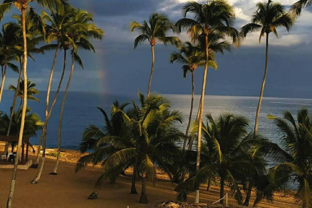 Modern, Welcoming Studio, Ocean View In フアン・ドリオ エクステリア 写真
